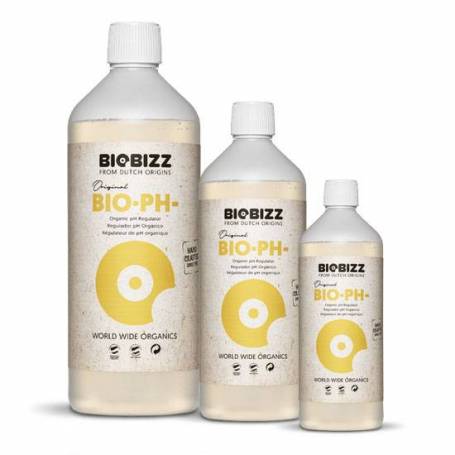 Bio Ph- Biobizz