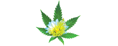 Abonos de marihuana floración venta online - El rincón del cultivador