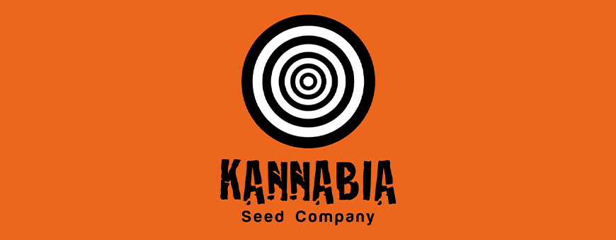 Semillas Kannabia Seeds venta online - El rincón del cultivador